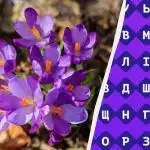 Μόνο το 1% των ανθρώπων μπορεί να βρει τη λέξη