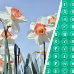 Το 98% των ανθρώπων δεν μπορεί να λύσει ένα παζλ