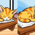 Μόνο οι πιο προσεκτικοί θα βρουν 3 διαφορές από την