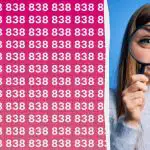 Έχετε υψηλό δείκτη νοημοσύνης αν μπορείτε να βρείτε γρήγορα τον