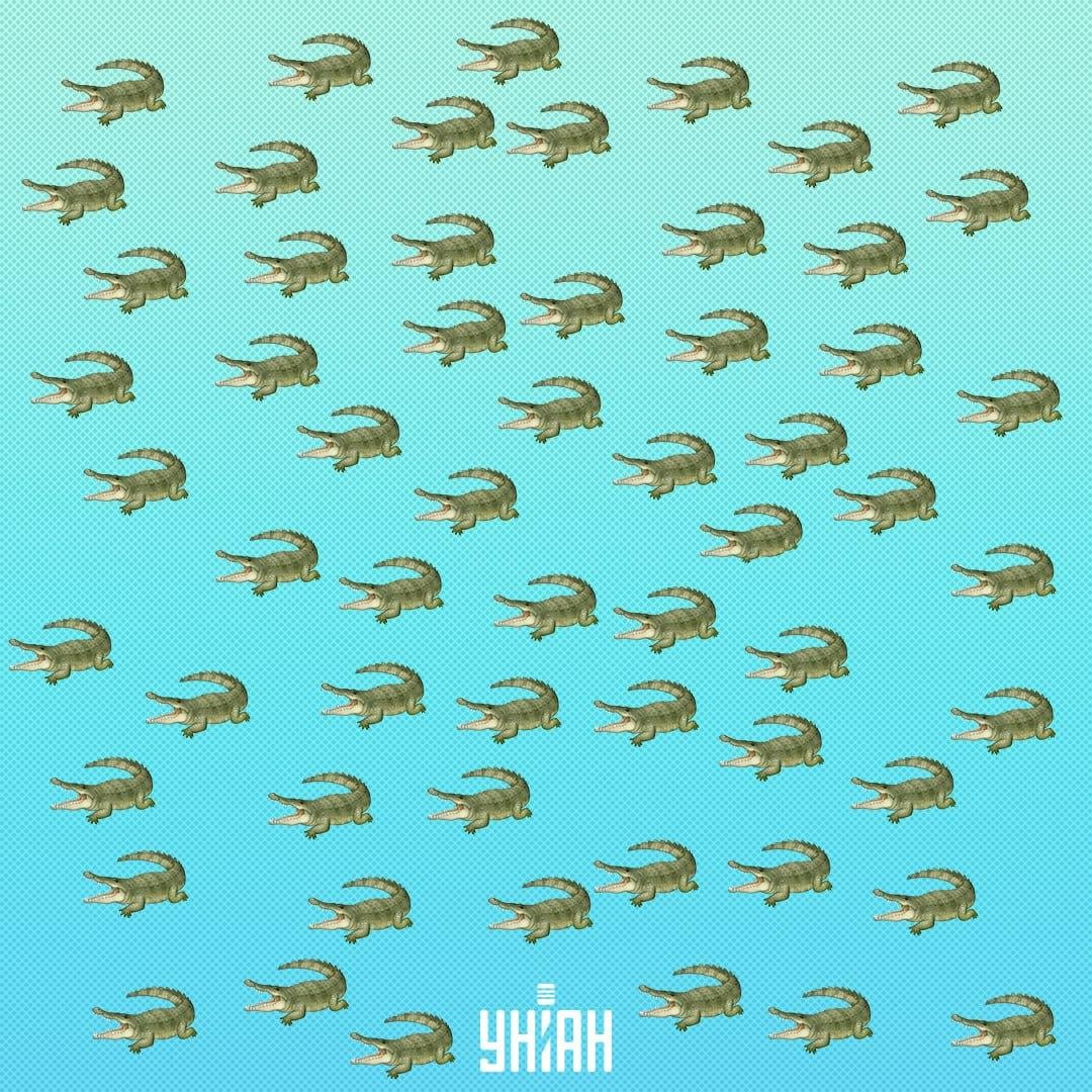 Το ερπετό είναι κρυμμένο, αλλά θα πρέπει να το δείτε σε 15 δευτερόλεπτα / Collage Moje