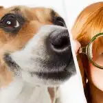 Μόνο ένας πραγματικός τιτάνας του IQ θα δει ένα σκύλο