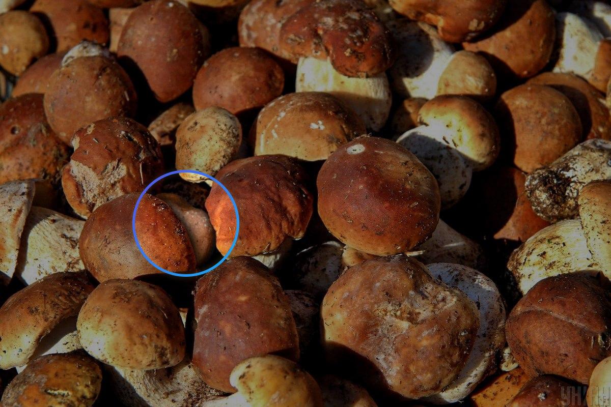 Η πέτρα ήταν σχεδόν στο κέντρο της οπτικής ψευδαίσθησης / κολάζ Moje Η πέτρα βρισκόταν σχεδόν στο κέντρο της οπτικής ψευδαίσθησης / Κολάζ Moje