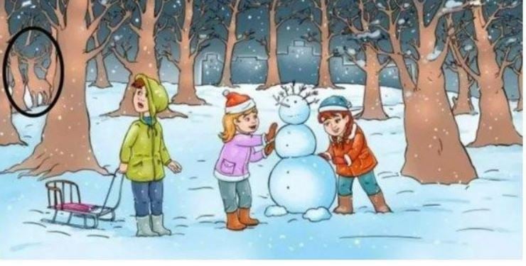 Λύνοντας τον γρίφο