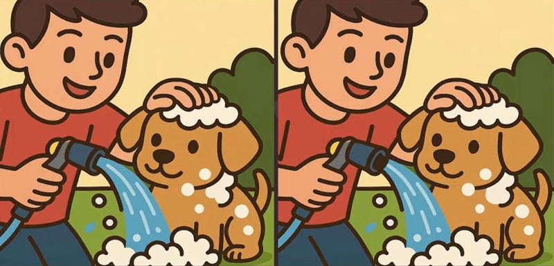 παζλ γρίφος