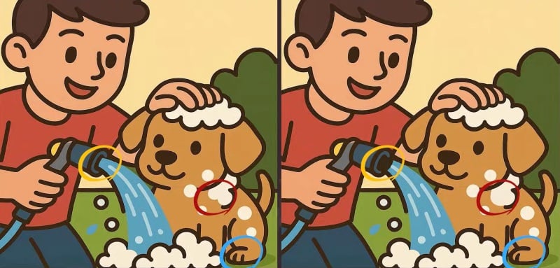 παζλ γρίφος