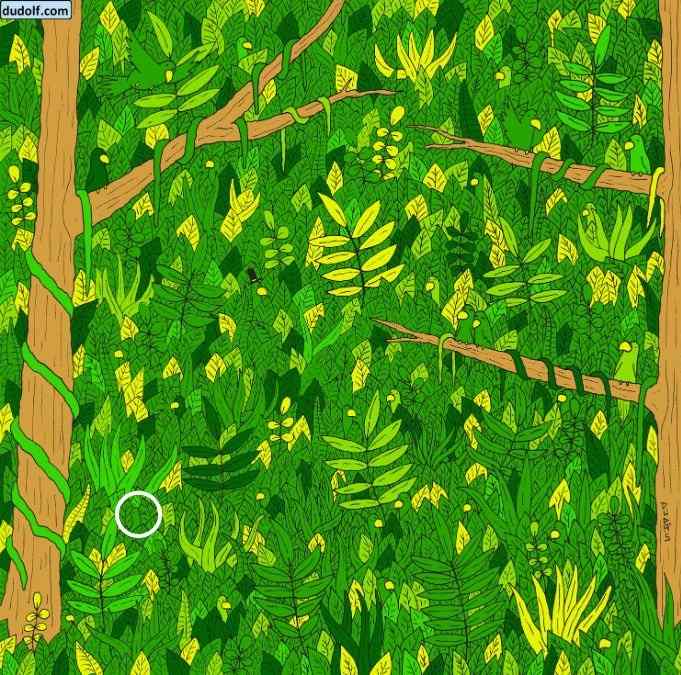 Η σωστή απάντηση στο παζλ 