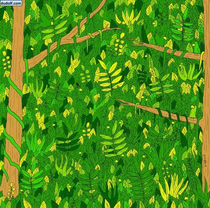 Βλέπετε ένα φίδι στην εικόνα 