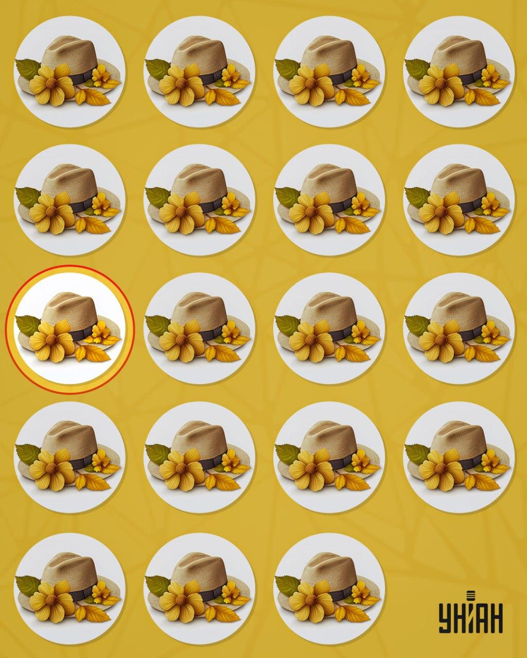 Το παράξενο καπέλο ξεχώριζε από τα άλλα από μια μικρή λεπτομέρεια / Κολάζ Moje