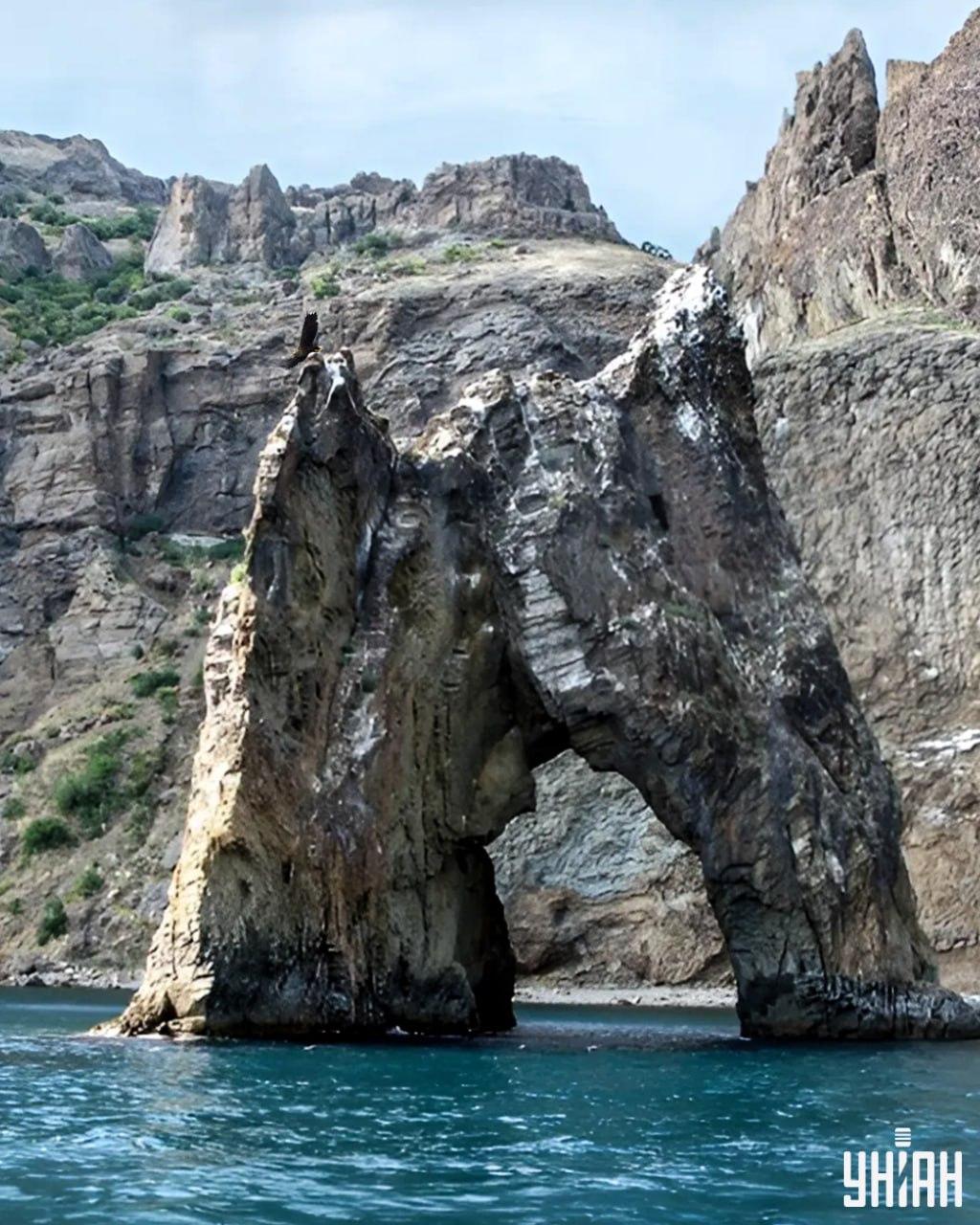 Χρειάζονται λιγότερα από 10 δευτερόλεπτα για να βρείτε τον αετό στην εικόνα παζλ / κολάζ με τη φωτογραφία Moje