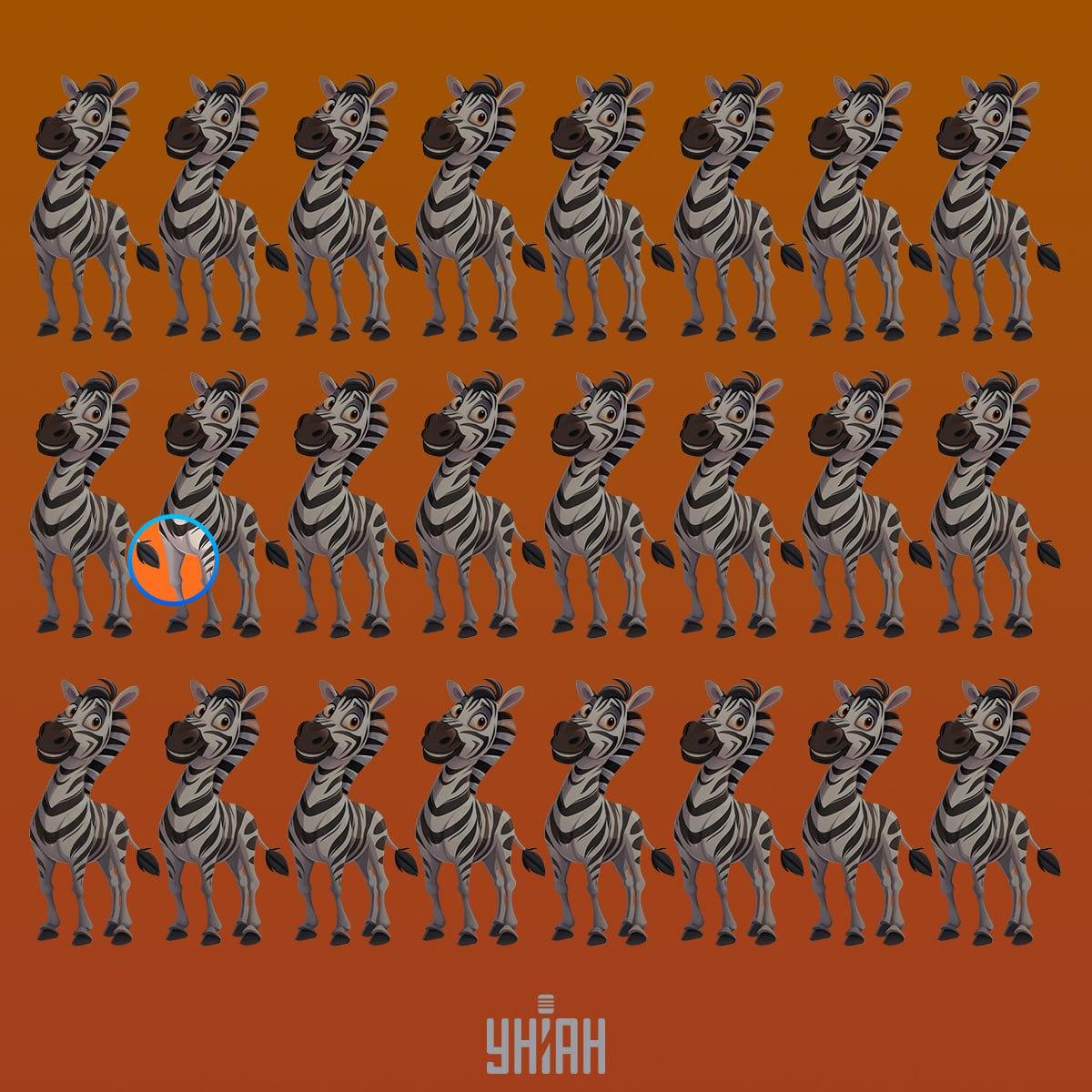 Μια παράξενη ζέβρα ήταν στη δεύτερη γραμμή από την κορυφή / Moje κολάζ