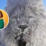 "Κλειστό" ή "κοινωνικό" άτομο: τι μπορεί να πει η οπτική