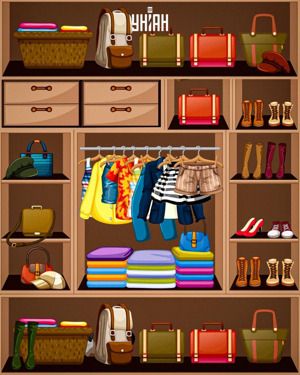 Πρέπει να βρείτε μια πονηρή γάτα / κολάζ Moje