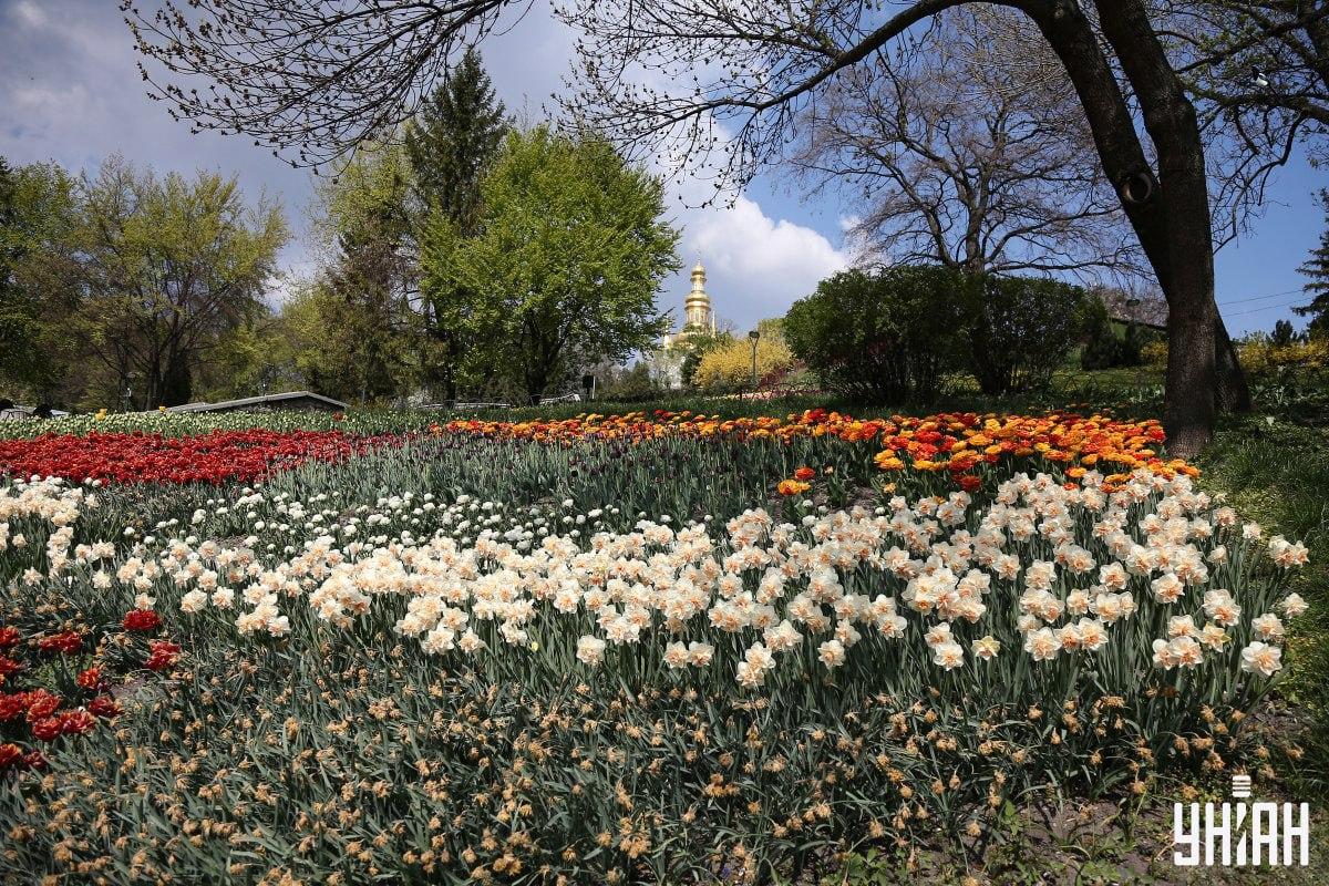 Βρείτε το πουλί σε λιγότερο από 10 δευτερόλεπτα / κολάζ Moje